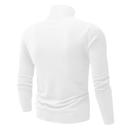 Mens Casual Slim Fit Basic Shirt Knitted Lightweight Pullover Turtleneck Sweater