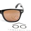 Replacement Sunglass Lenses Compatible for Brooks Brothers BB 338S