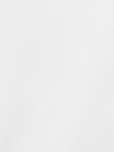Men's Non-Iron 2-Ply Cotton Button Down Collar Dress Shirt